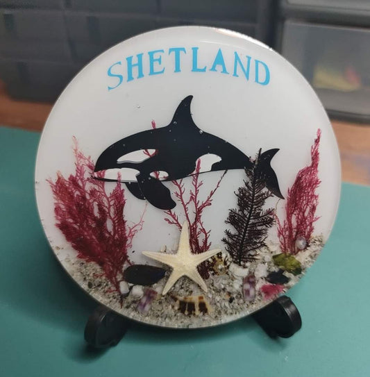 White Orca Shetland Beach Resin Coaster
