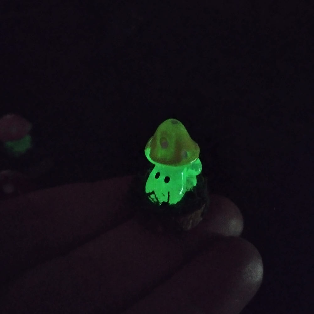 Peerie Glow in the Dark Mushrooms